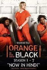 Download Orange Is the New Black – Netflix Original (Season 1-7) Dual Audio Filmywap